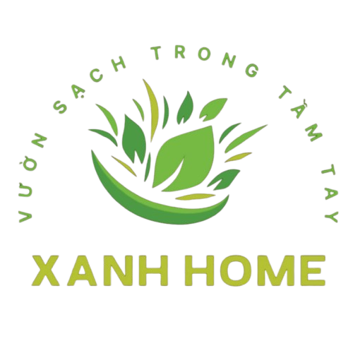 Vườn Rau Sạch Xanh Home